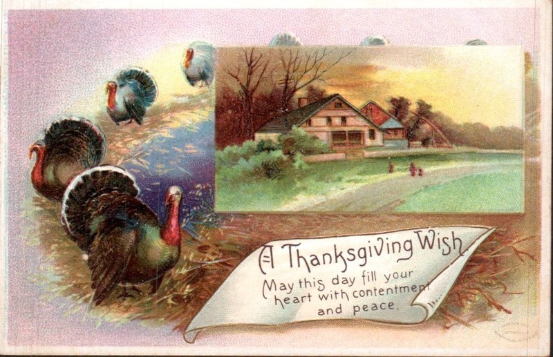 A Thanksgiving Wish