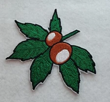 Ohio Buckeyes 4 inch Iron on Embroidered Applique Patch