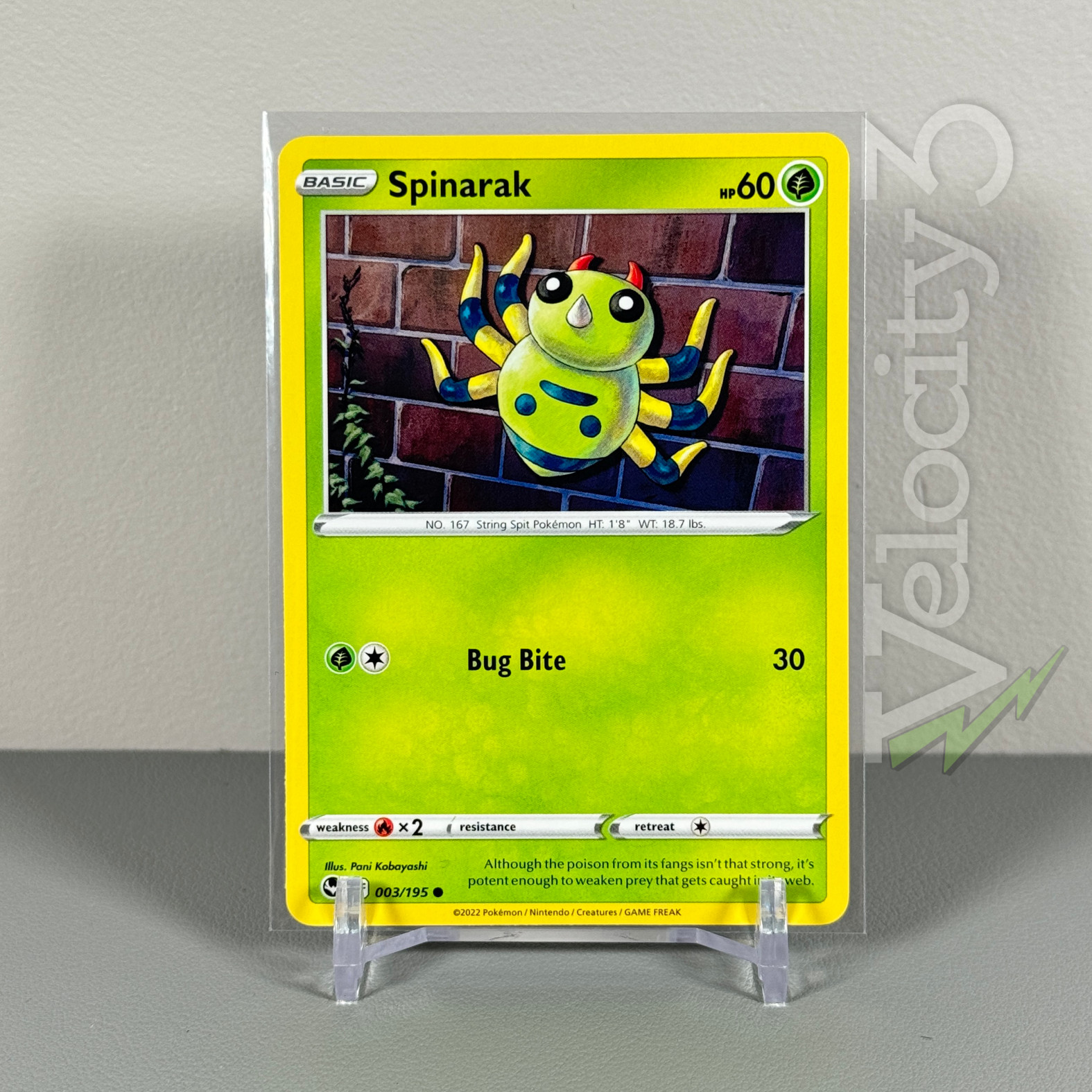 Pokemon TCG Card: SPINARAK 3/195 | Common | Silver Tempest | NM/Mint
