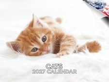 Cats Calendar 2026 12x18 Made in USA
