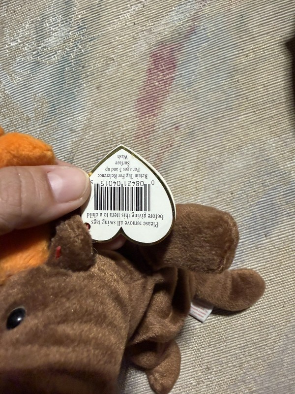 TY Beanie Baby Chocolate the Moose
