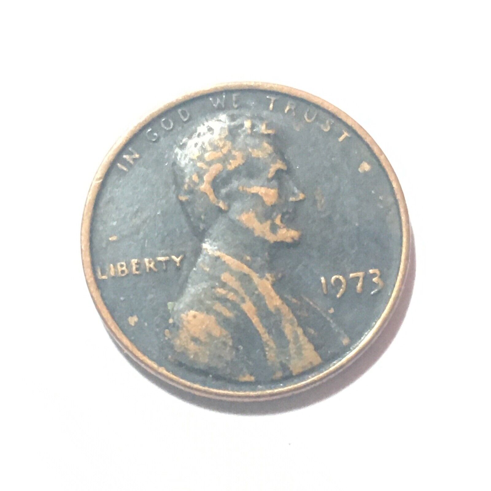 Picture 11 of 24