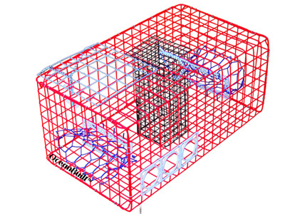 Blue Crab Trap - Small - Recreational Crab Pot - Florida Reg Crab Trap
