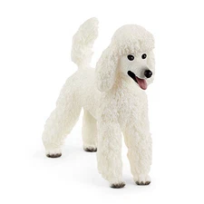 13917 Poodle