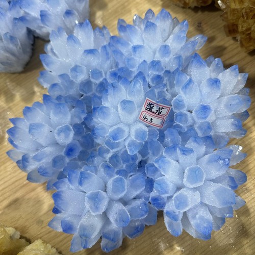 Nuevo Encontrar Azul Fantasma Cuarzo Cristal Racimo Mineral Espécimen Decoración Curativa - Imagen 11 de 15