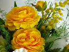 Imagen 4 de 10