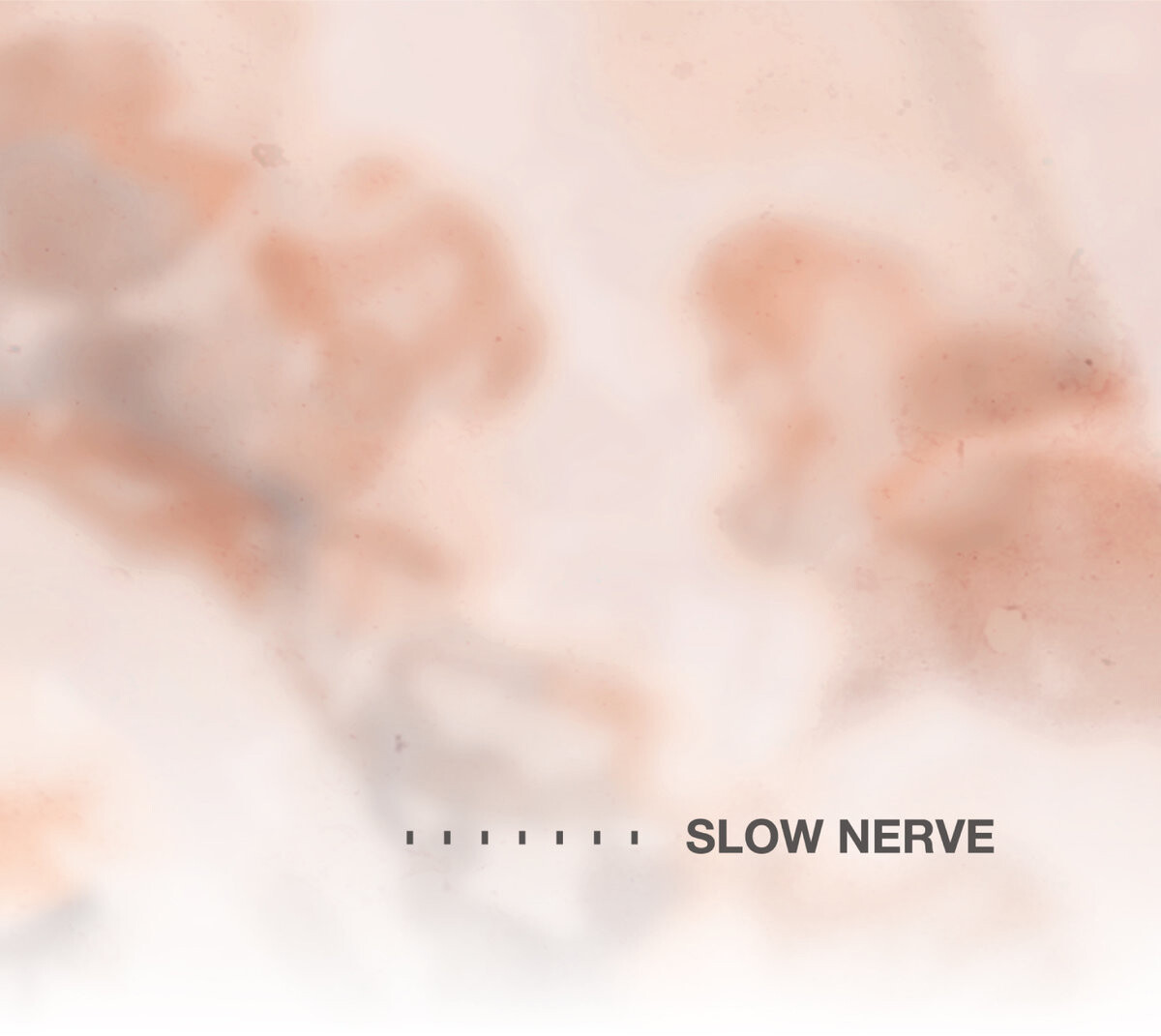 Slow Nerve Slow Nerve (CD) Album