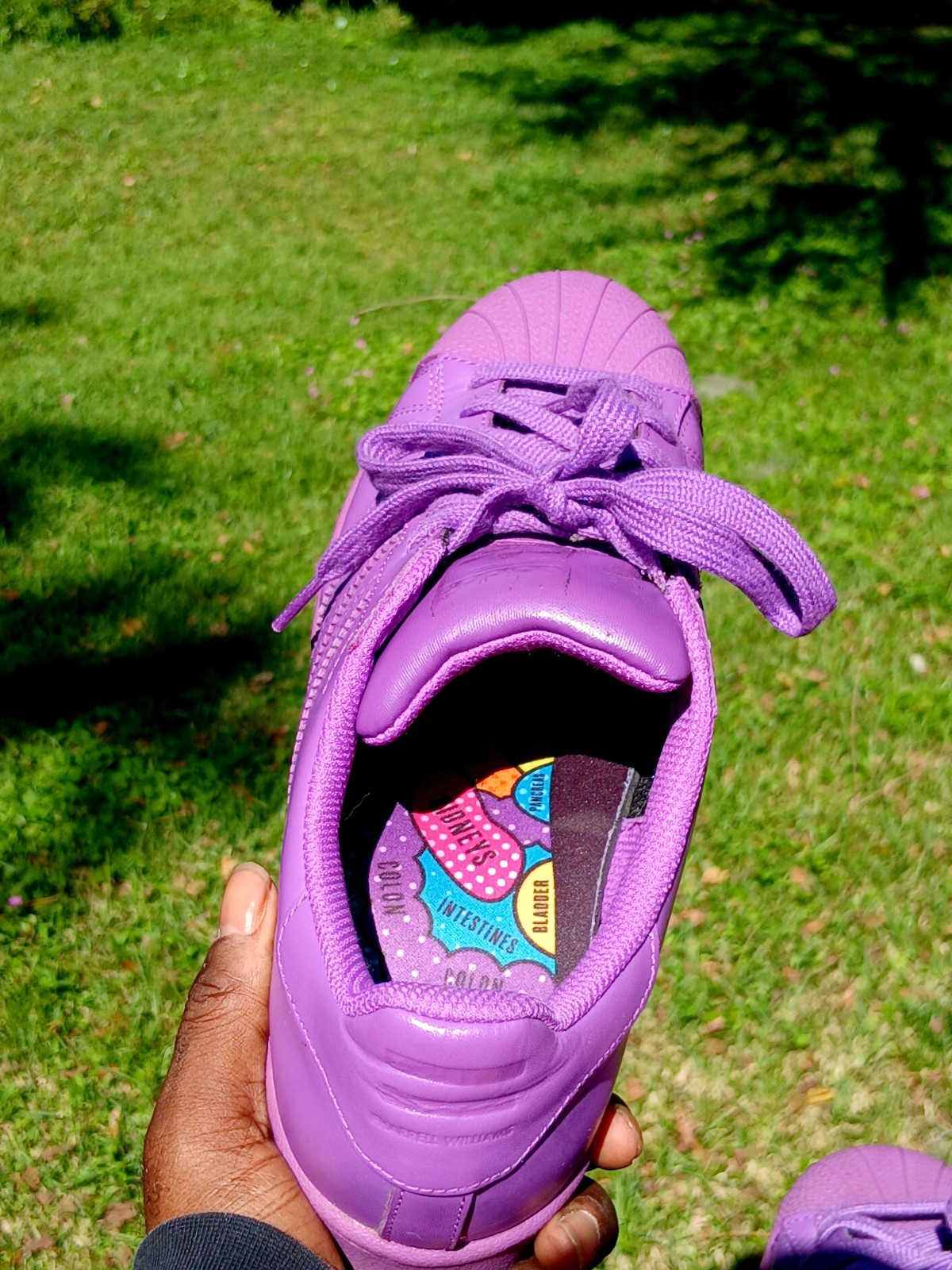 Adidas Superstar X Pharrell Williams Shell Toe Pu… - image 5