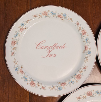 Vtg. Camelback Inn Deep Dinner Plate 10.5'' Pink, Aqua Floral Steelite England