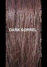 New False Tail Extension Dark Sorrel 1lb KATHYS TAIL AQHA USDF APHA PtHA NSBA 
