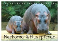 Elisabeth Stanzer | NashöRner & Flusspferde (Tischkalender 2026 Din A5 Quer),...