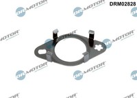 Dr.Motor Automotive Dichtung, Leitung Agr-Ventil U.A. FüR Ford, Ford USA