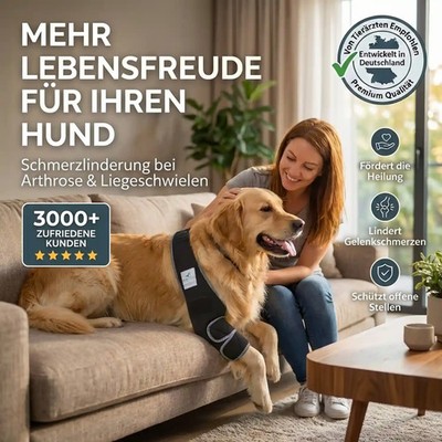 Ellenbogen Bandage & Liegeschwielen Bandage, Arthrose Bandage für Hunde