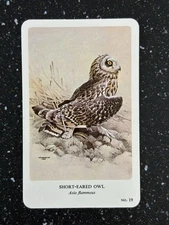General Cigar Co Northern Birds by Fenwick Lansdowne Card 19 Short-Eared Owl