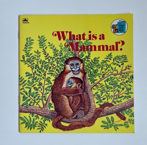 Qu'est-ce que le mammifère ? par Jenifer W. Day - Livre d'occasion - Photo 1 sur 2