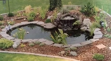 Backyard Water Garden KOI Pond KIT Liner & Pump 9' X 6' Liner &  Water Lilies