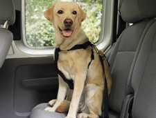 Nobby Autosicherheitsgurt Autosicherheitsgeschirr Geschirr Auto Hund Reisen
