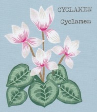 Fabric Picture Panel Cyclamen Flower Floral Posy  12 x 12cm Quilting Block
