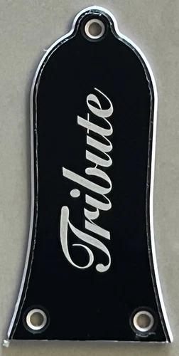 Custom For Gibson Epiphone Truss Rod Cover Plate 3 Holes Guitar Pickguard Balck