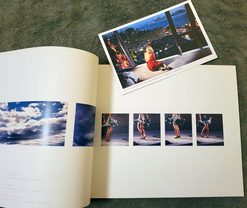 David Drebin - Dreamscapes & Girls (2010?, Paperback, 11.3” x 13.3") - Picture 10 of 10
