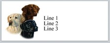 Personalized Address Labels Three Colors Labradors (JX 549)