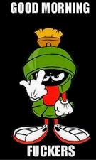 MARVIN THE MARTIAN SPACE HOT ROD RAT FINK MOTORCYCLES TOOLS GUNS STICKER