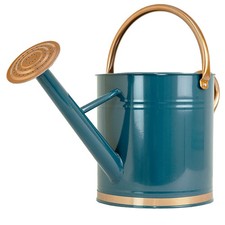 9L Metal Watering Can Teal Large Garden Long Spout with Rose Durable