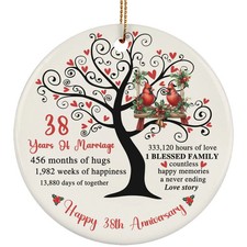 38 Years Love Story Ornament Happy 38th Anniversary Cute Cardinal Christmas Gift