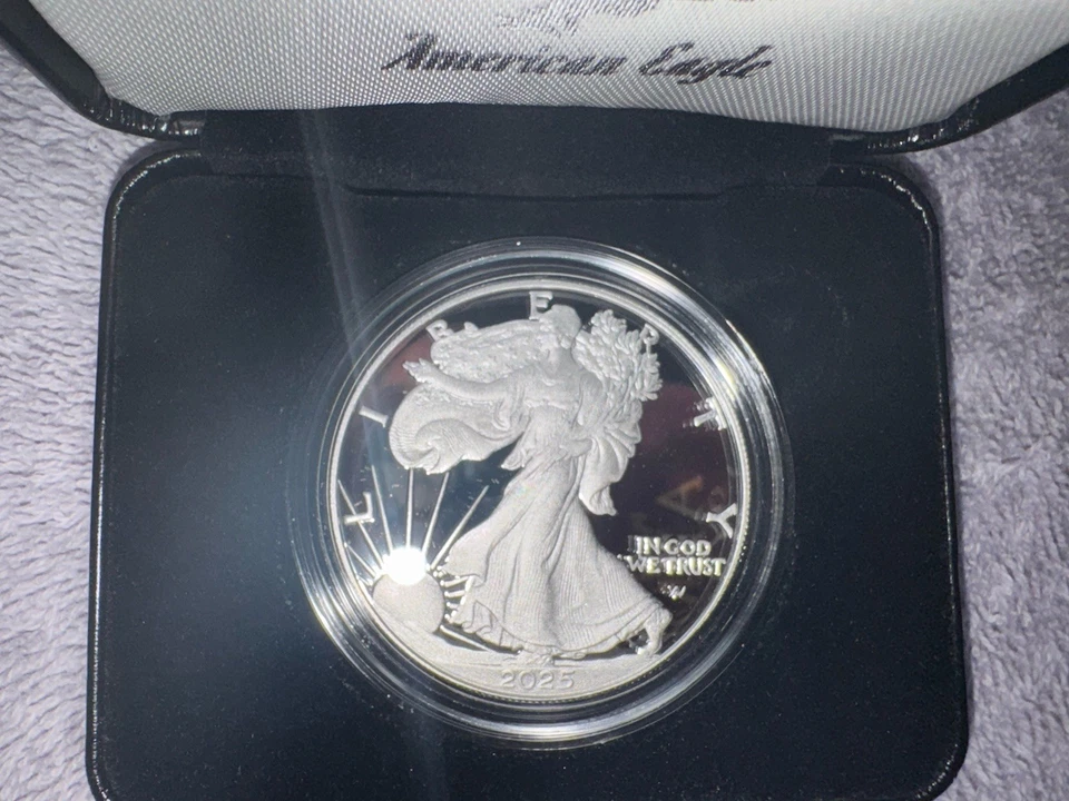 Dólar de plata American Eagle 2025-W prueba de acuñación de Estados Unidos 1 oz .999 OGP/COA Foto 3 de 4