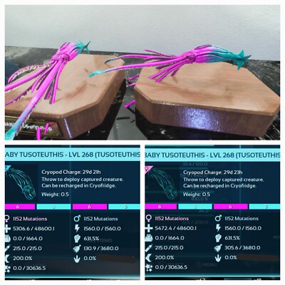 ARK ASCENDED PVE OFFICIAL PAIR BABY TUSO COTTON CANDY TOP STATUS  PS5/PC/XBOX