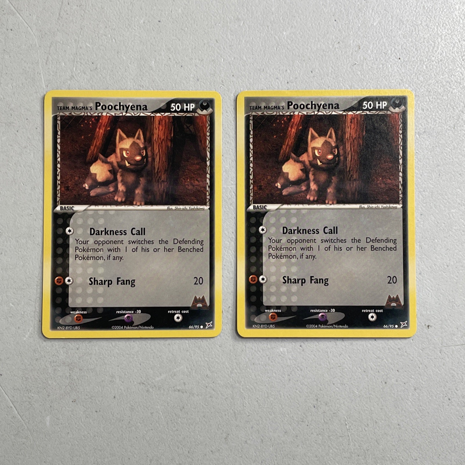 Pokemon TCG 2004 Team Magma vs. Team Aqua Card Team Magma's Poochyena 66/95 (x2)