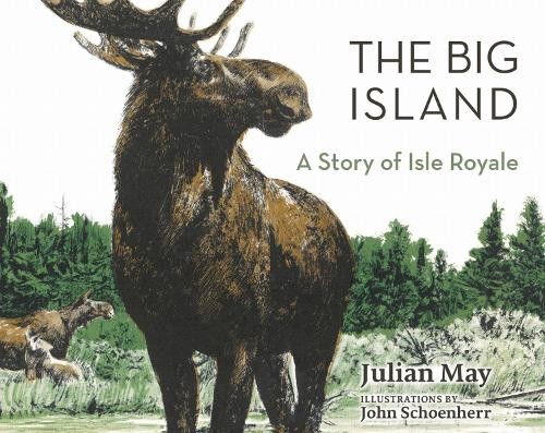 The Big Island - 9781517910693