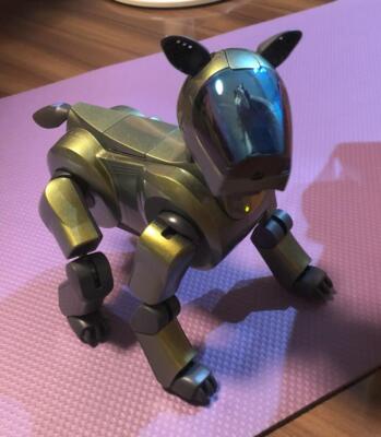 SONY AIBO　ソニー　アイボ　第2世代　ERS-210 バーチャルペット SONY AIBO ERS-210 アイボ 第二世代 エンターテインメントロボット