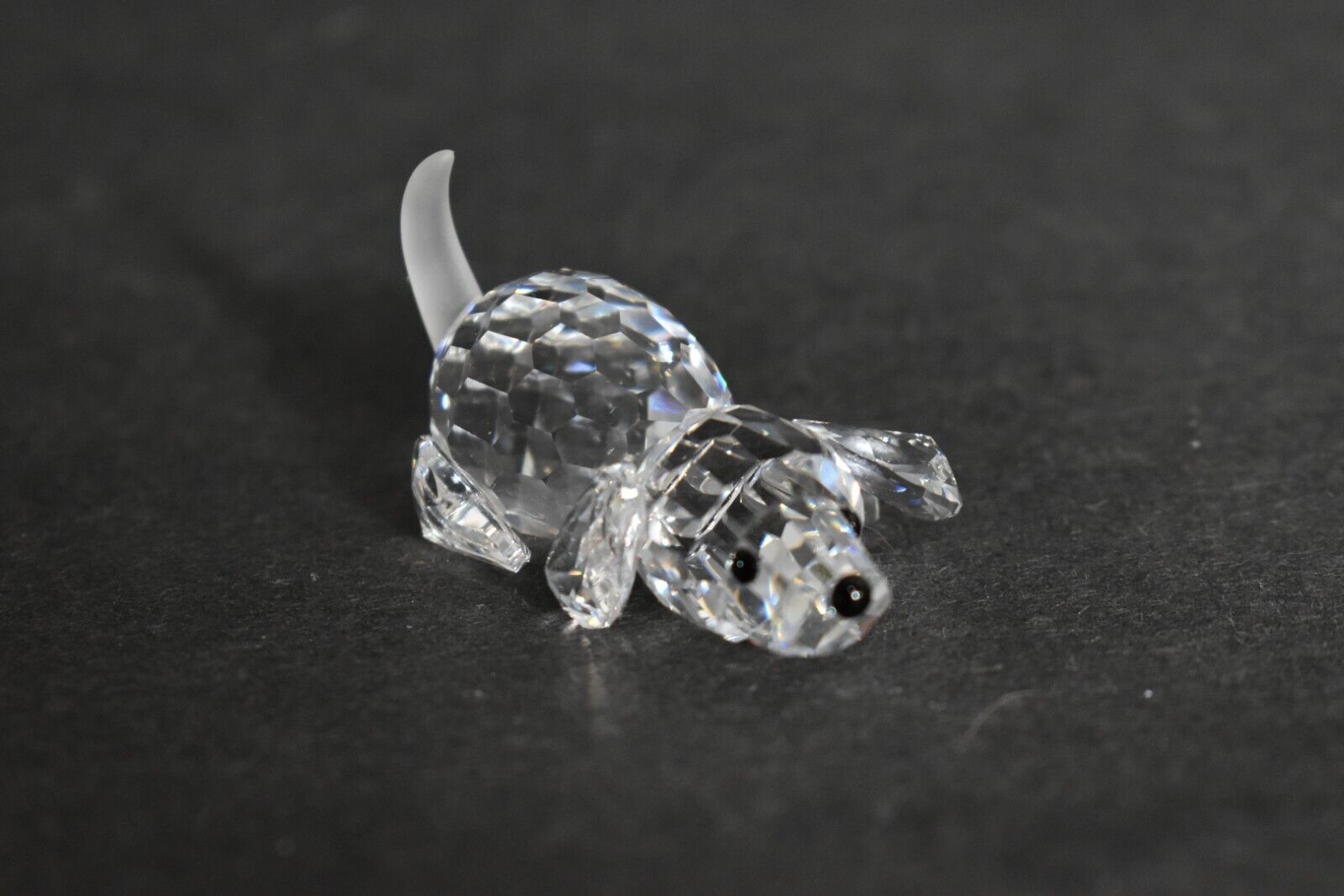 Swarovski Crystal Playing Beagle Puppy Dog Figurine with a Frosted Tail. No Box