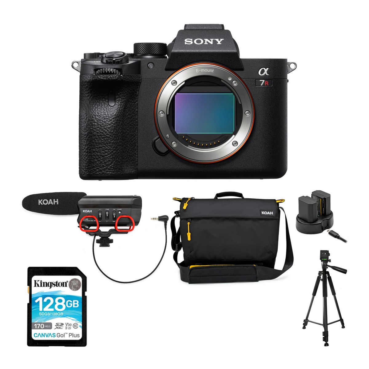 Sony A7ii Sony Alpha A7r Iv Vs A7 Iii Sony A7s Ii Vs A7 Iii Video