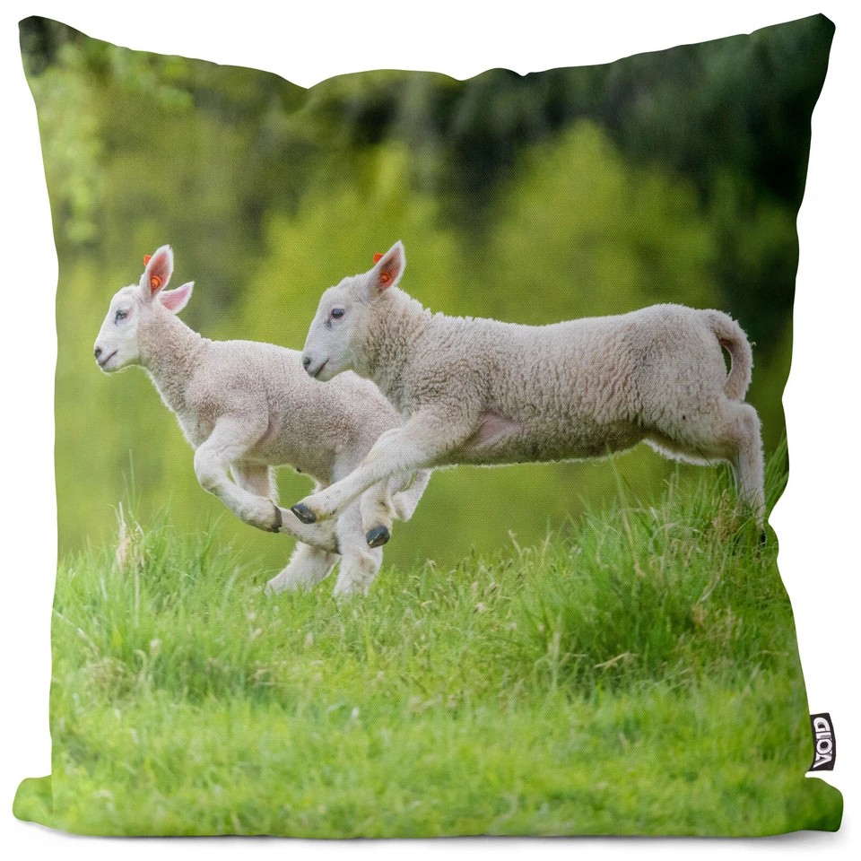VOID Kissenbezug Junge Lämmer Lamm Braten Essen Ostern Osterhase Lämmchen Zoo - Bild 1 von 1