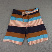 Patagonia Boardshorts Mens 31 Brown Blue Striped Wavefarer Fitz Swim Trunks