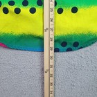 Foto 12 di 14