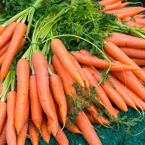 Scarlet Nantes Carrots - Seeds - Organic - Non Gmo - Heirloom Seeds – Vegetable