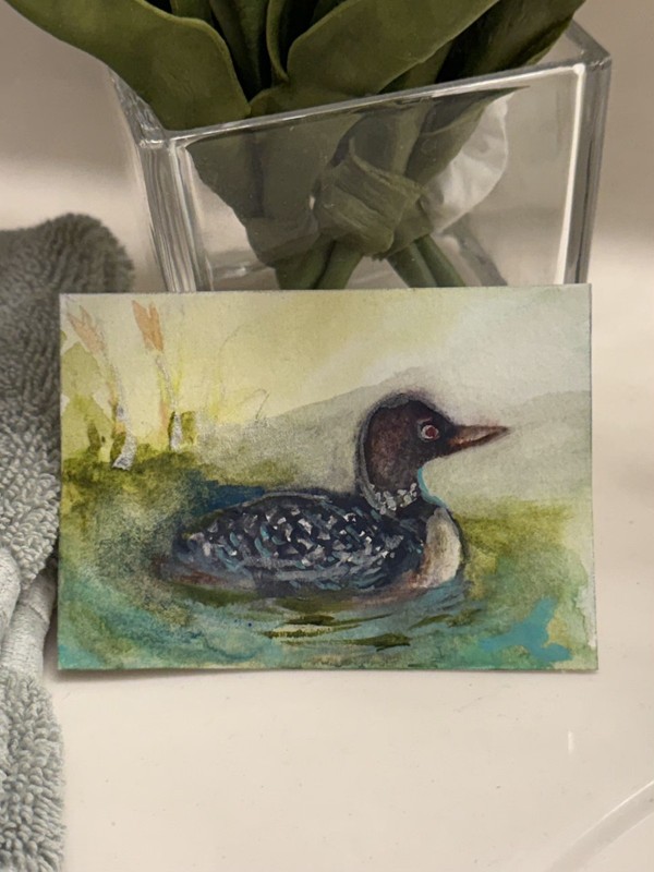ACEO art card original bird/loon watercolor painting 2.5x3.5in signed on back