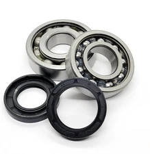 Yamaha Blaster YFS200 Main Crank Shaft Bearings and Seals 00 01 02 03 04 05 06 