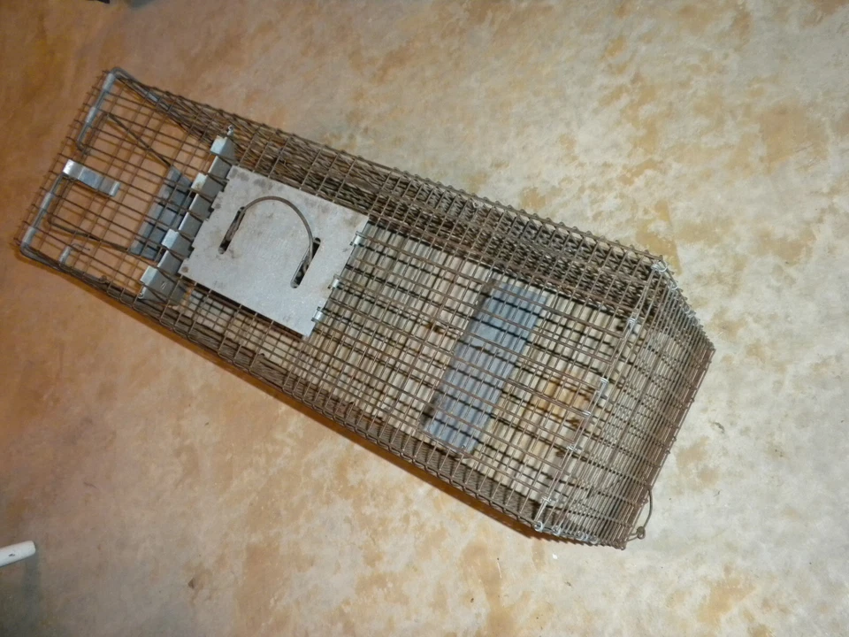 Trampa de captura y liberación humana animal vivo Havahart medidas externas 32" x 12" x 11" Foto 2 de 4