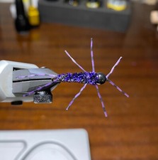 Six (6) purple tungsten stonefly euro nymph. Pat's Rubber Legs. #10 4.5 mm bead