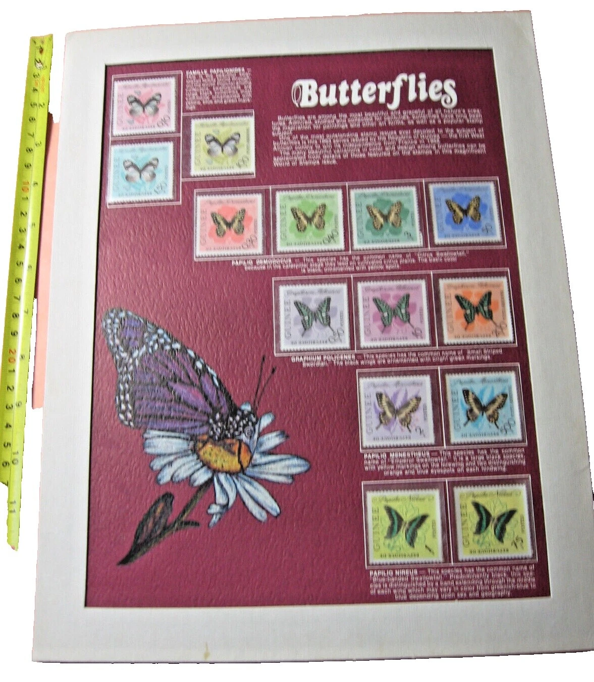 Butterflies Worldwide Stamp Collections & Lots