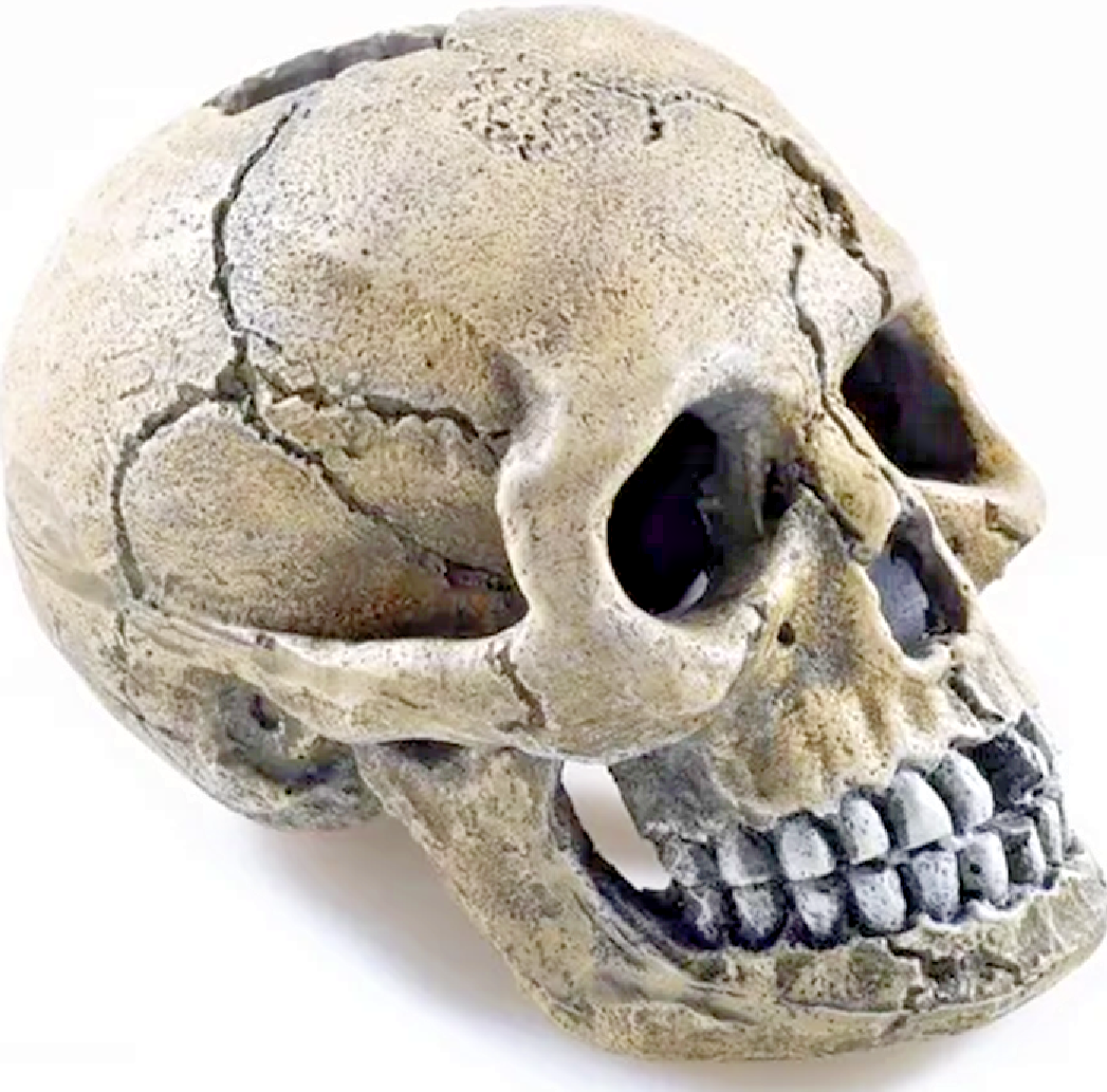 8.5CM SPOOKY SKULL AQUA FISH ORNAMENT : Aquarium Tank Head Bone Pet Decoration