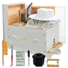 Newest Windows 8 Frame Bee Hive Boxes Starter Kit Hand Painted Includes Beeke...