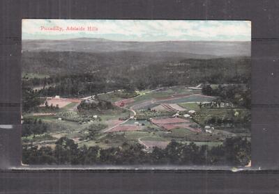 SOUTH AUSTRALIA, PICCADILLY, ADELAIDE HILLS, 1907 ppc., used.
