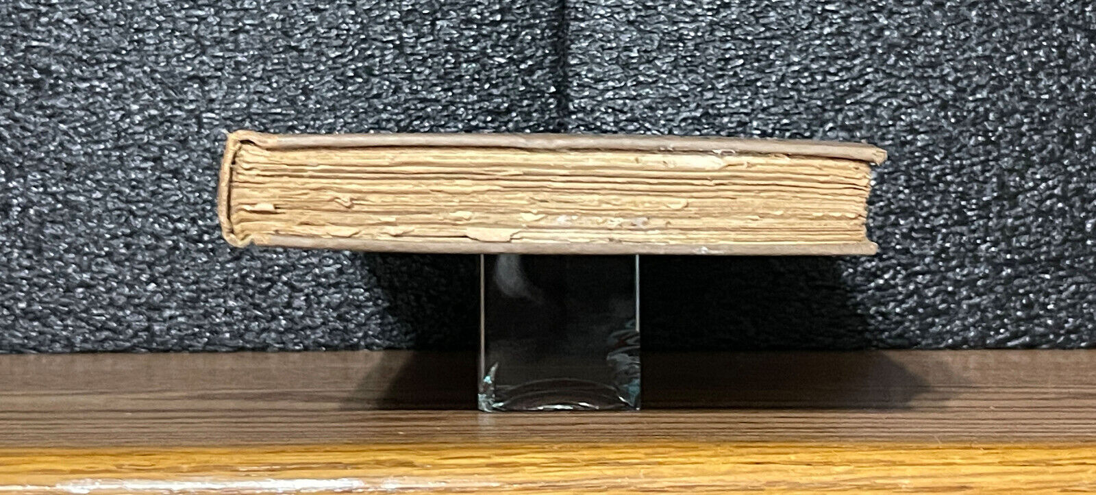 Picture 12 of 16