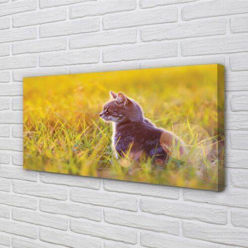 Tulup Canvas print 100x50 Wall Art Picture hunting cat - Picture 1 of 6
