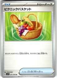Picnic Basket 071/078 Violet ex